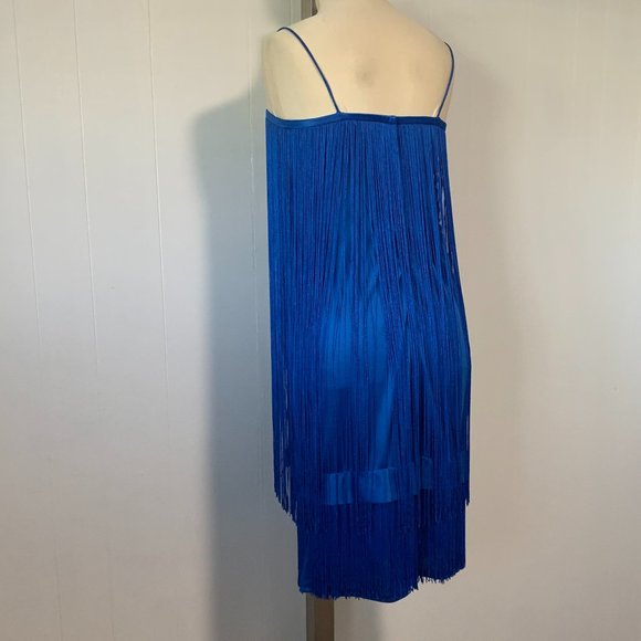 Stunning Rare Vintage Fringe Dress - Picture 11 of 15